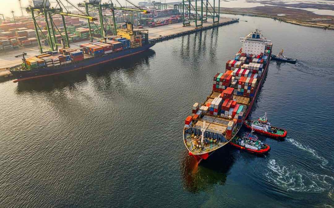 New EU Green Rules to Hurt Developing Country Exporters