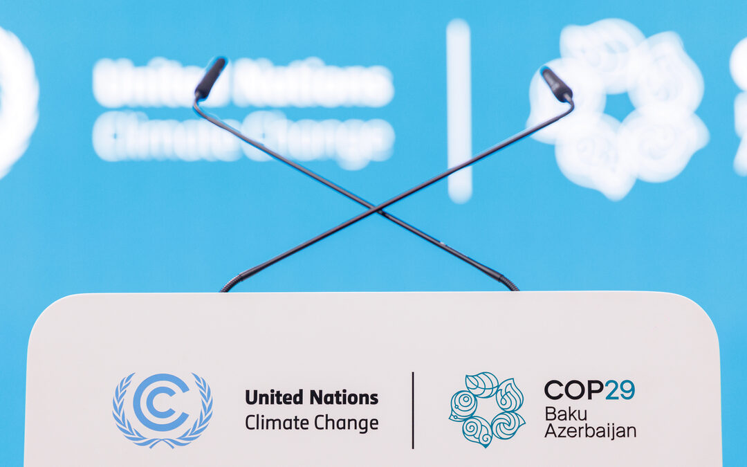 COP29 Talks Stall Over Secondary Carbon Trading Rules Under Article 6.2: S&P