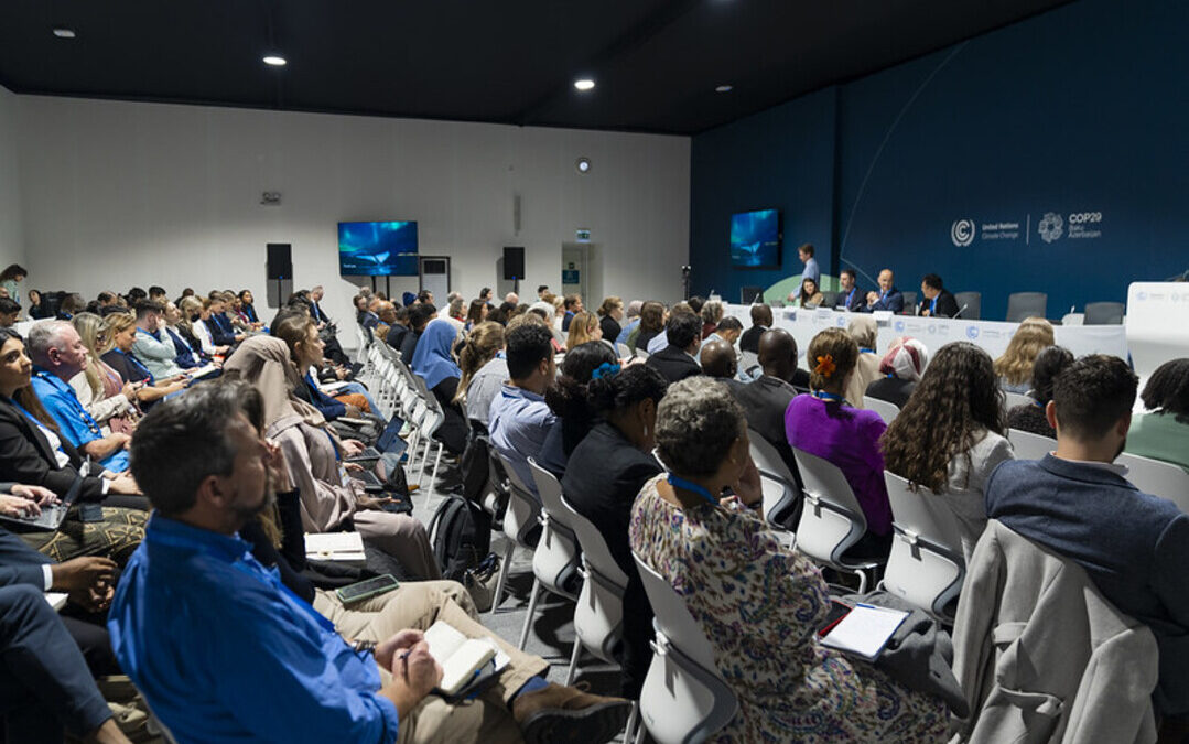 India Demands Focus on Climate Finance as COP29 Focuses on Mitigation Goals