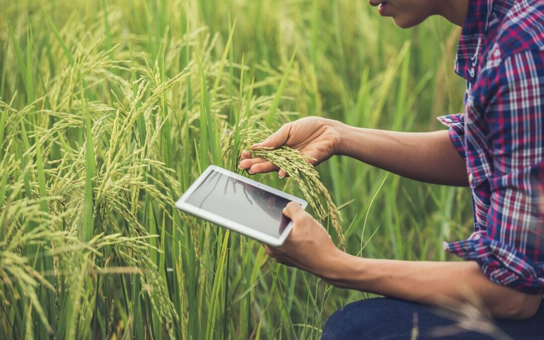 Farmers Edge Unveils Managed Services to Push Digital Tools in Agriculture
