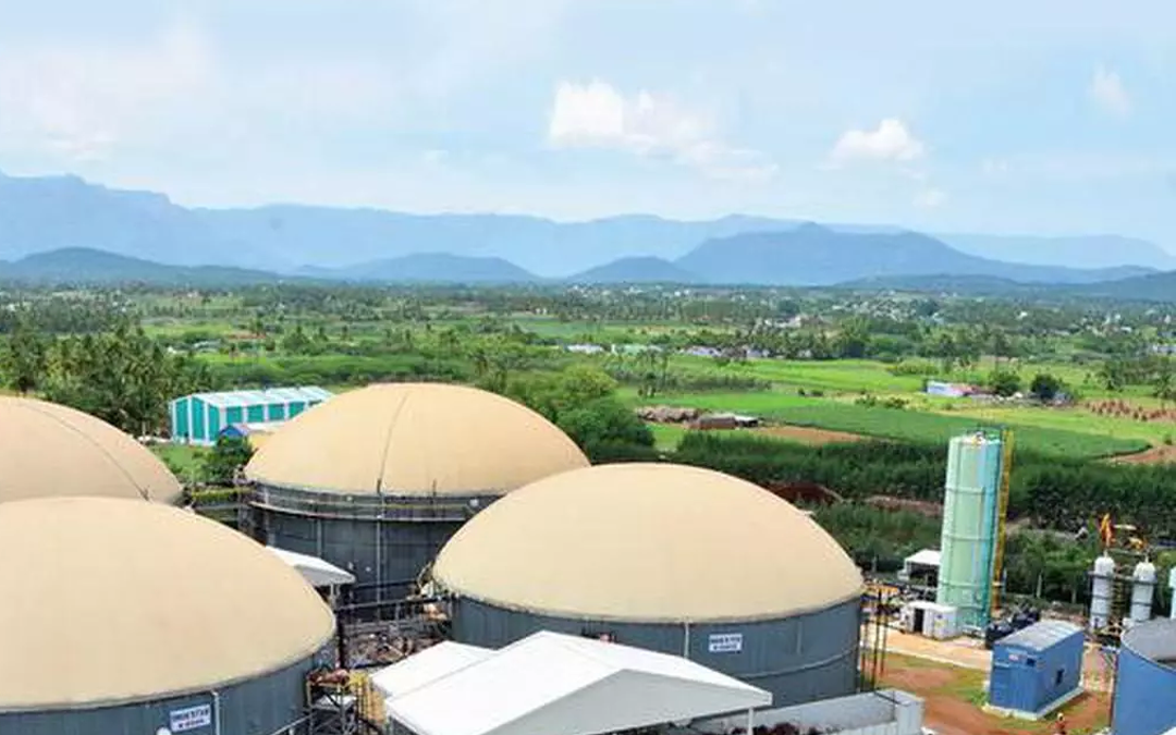 India’s Bioenergy Ambitions Set to Transform Energy Landscape by 2030: IEA