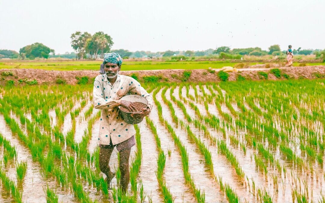 India Expands Natural Farming and AI Adoption in Agriculture
