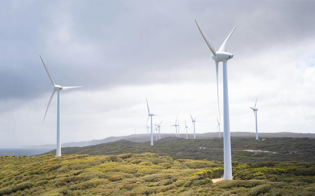 SBTi Unveils Draft Corporate Net-Zero Standard, Opens Public Consultation