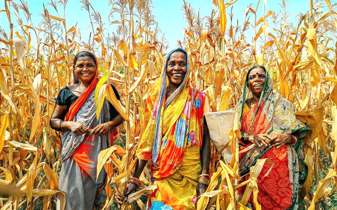 Government Program Helps 10 Crore Rural Women Boost Incomes
