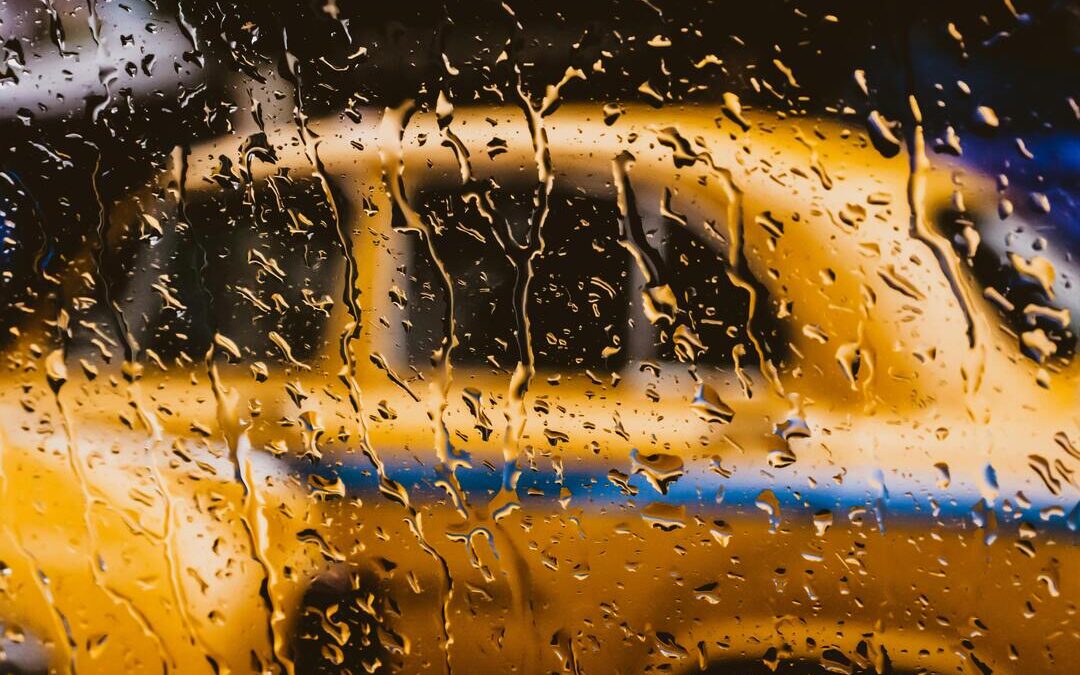 India Expects Above-Normal Monsoon in 2025, IMD Says in Seasonal Outlook