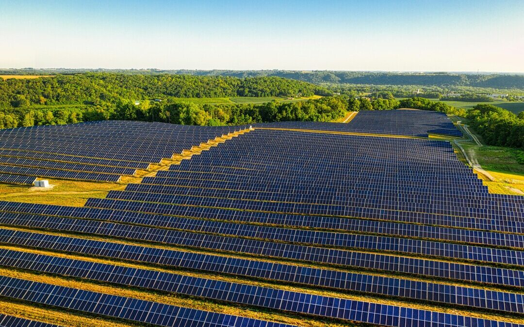 Waaree Energies Launches India’s Largest Solar Cell Gigafactory in Gujarat