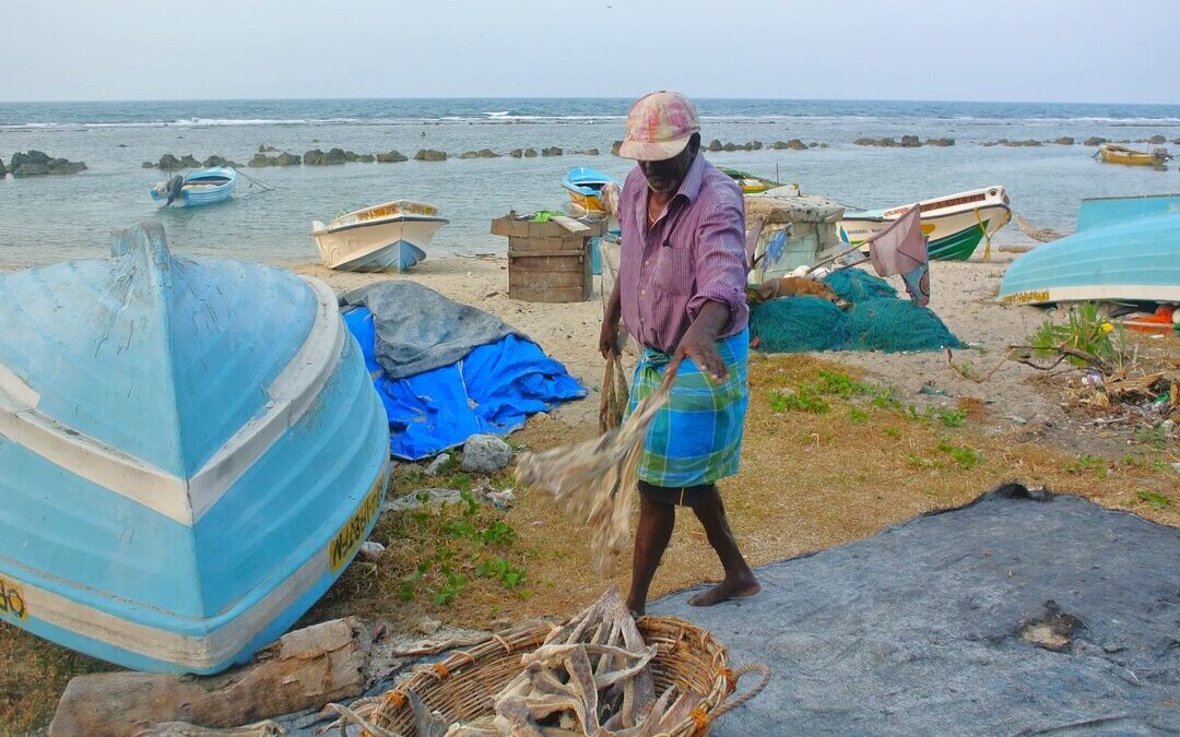 ILO Launches $2.8M Project in Northern Sri Lanka with Australia, Norway Support