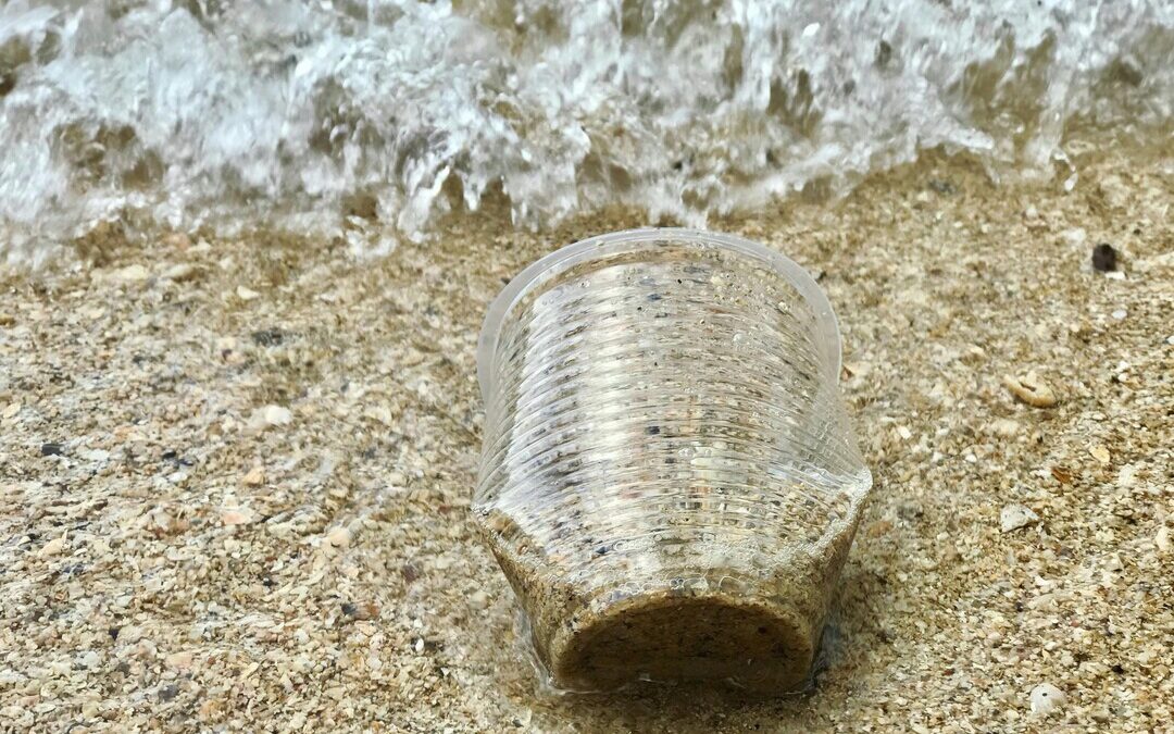 Government Calls for Public Action on Plastic Pollution Before Environment Day