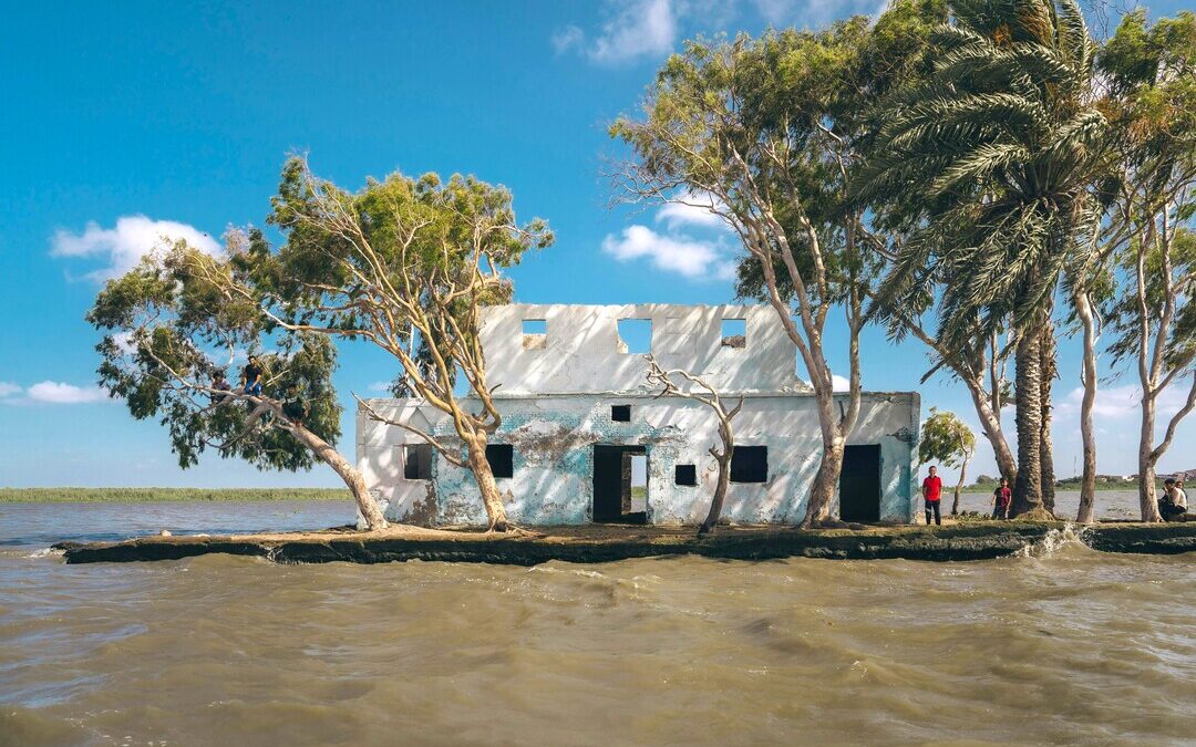 New Global Model Reveals How 13M Farmers Could Respond to Sea Level Rise