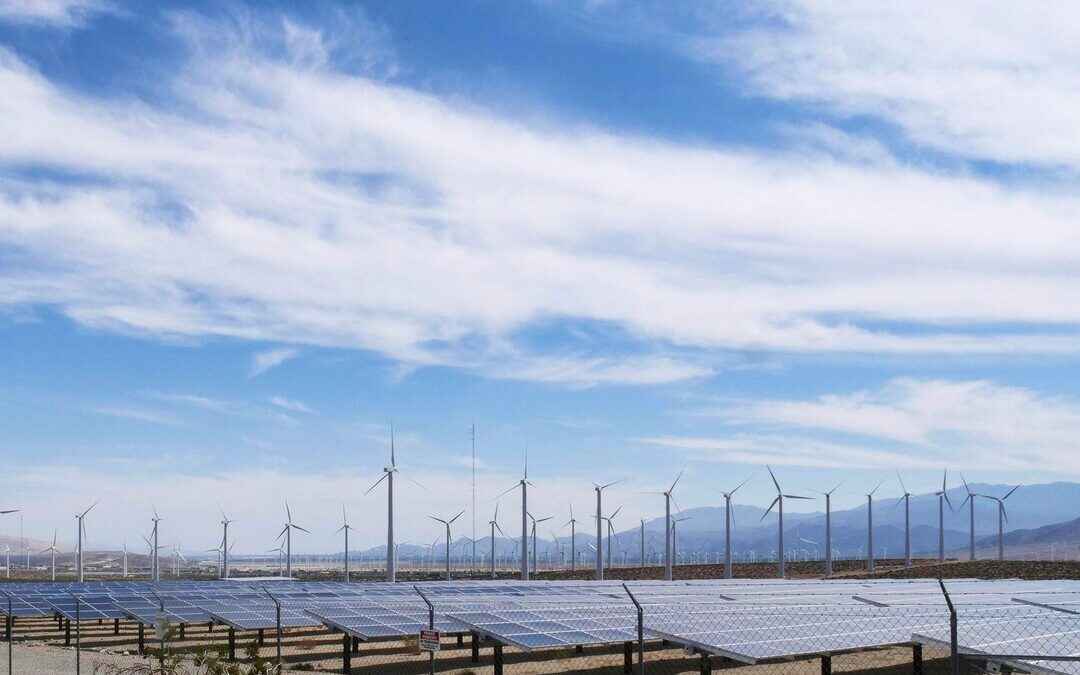 Waaree Renewable Secures $13.7M Solar EPC Order Under Maha Gov Scheme