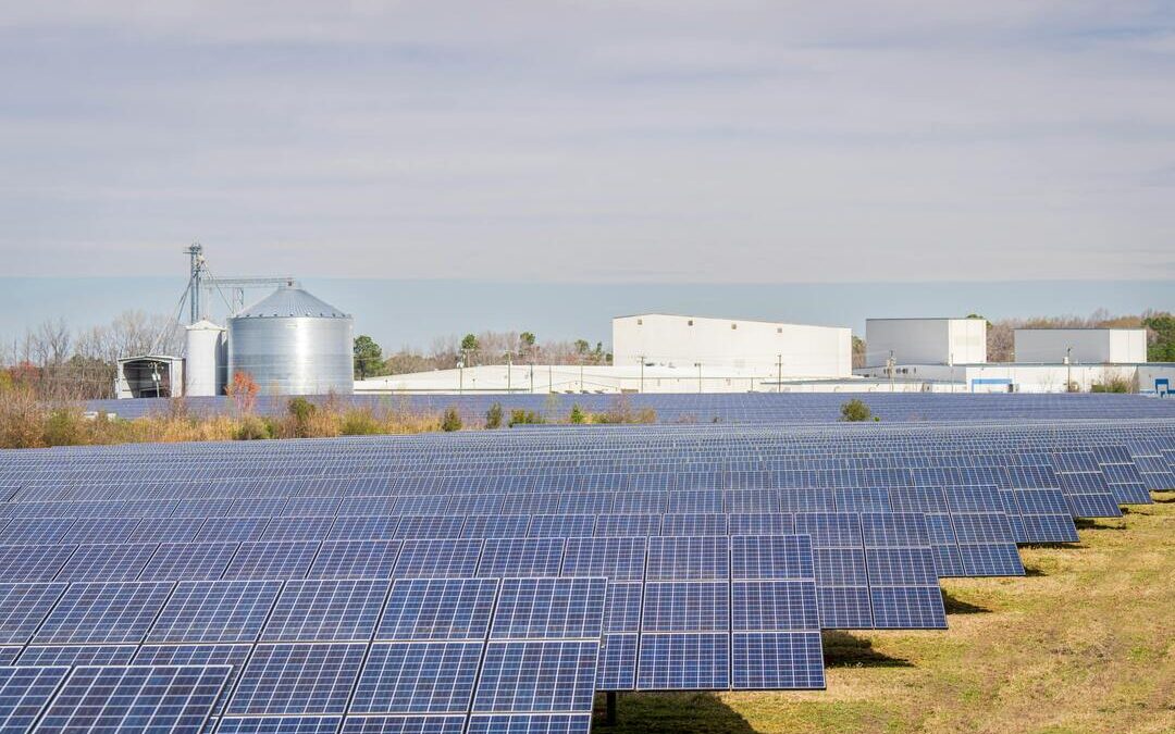 Reliance NU Suntech, SECI Ink 25-Year PPA Pact for 930 MW Solar-Battery Project