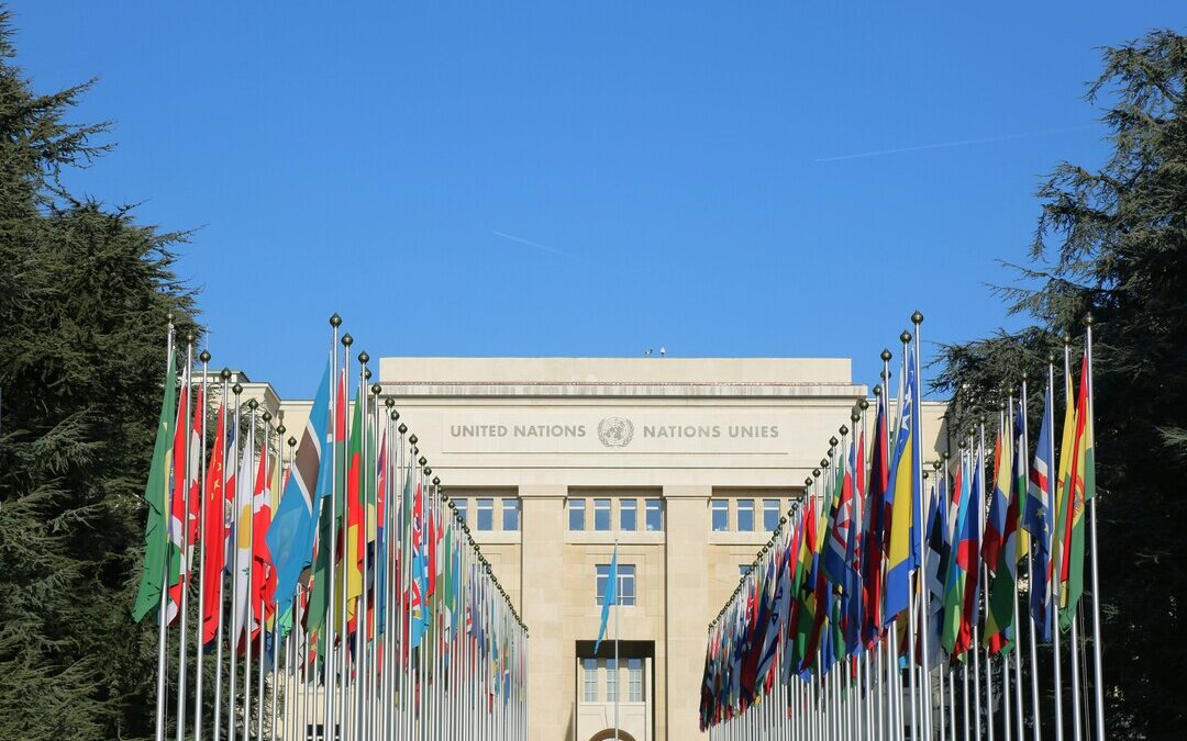UN Adopts New Carbon Credit Rules to Boost Climate Market Credibility