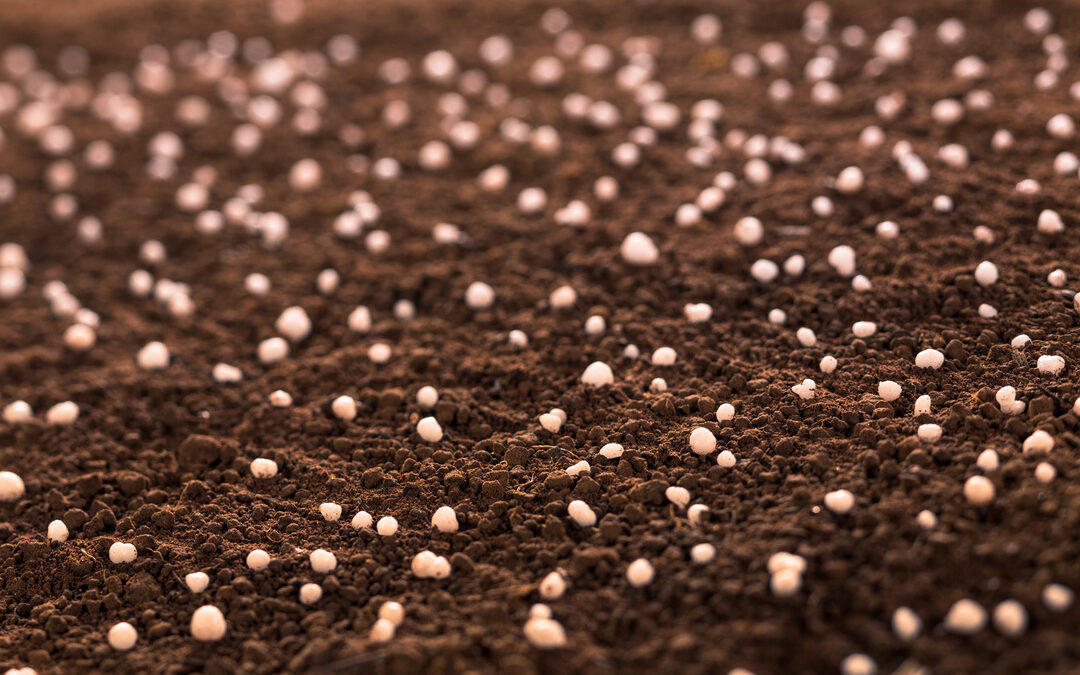 BASF, Yuntianhua Achieve Major CO2 Emission Cuts Using Litmus Inhibitor