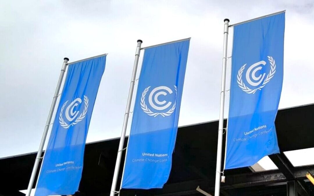 FIDH Presses for Human Rights Focus as Bonn Talks Set Stage for COP30