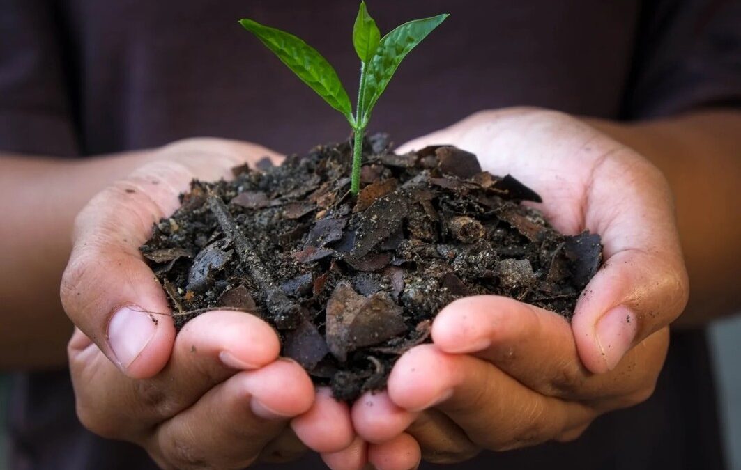 UK’s ReGenEarth, RER Launch $135M Green Bond to Fund Biochar Innovation