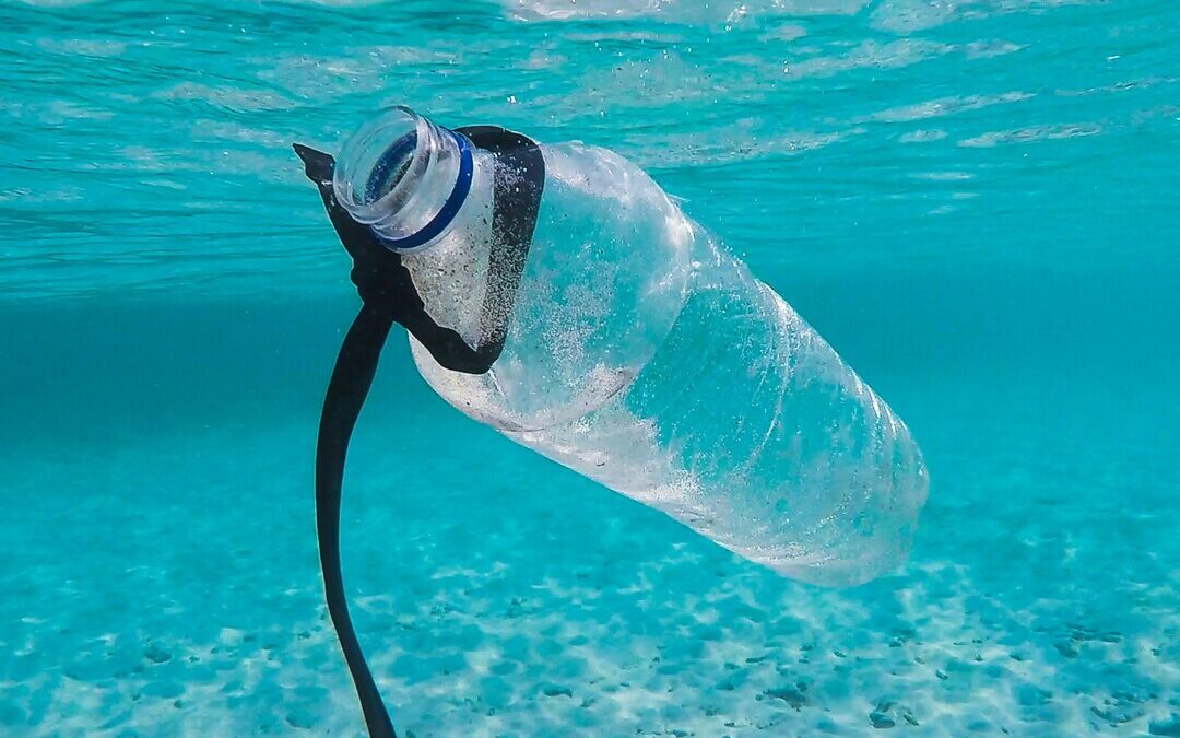 Six Global Development Banks Launch $3.4B Effort to Fight Ocean Pollution