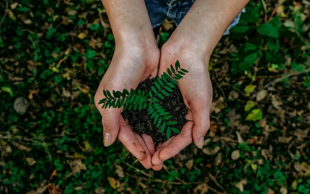 Global Adaptation Investments Deliver $10 for Every $1 Invested: WRI