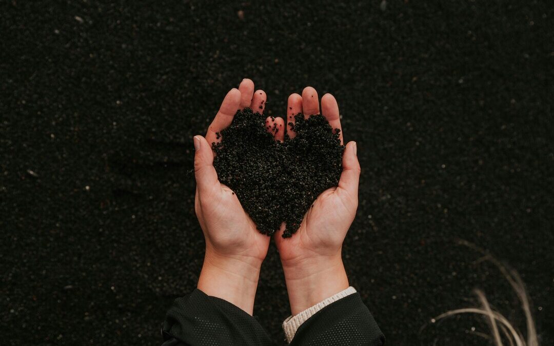 Microsoft Signs 12-Year Deal With Agoro Carbon for 2.6M Soil Carbon Credits