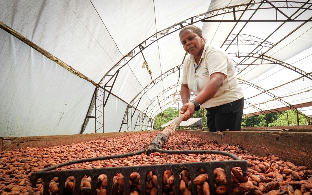 CFM, SODEN to Build World’s 1st Cocoa Waste-to-Energy Plant in Côte d’Ivoire