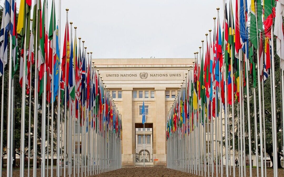 Banks Urged to Act as $9T Climate Adaptation Opportunity Emerges: UNEP