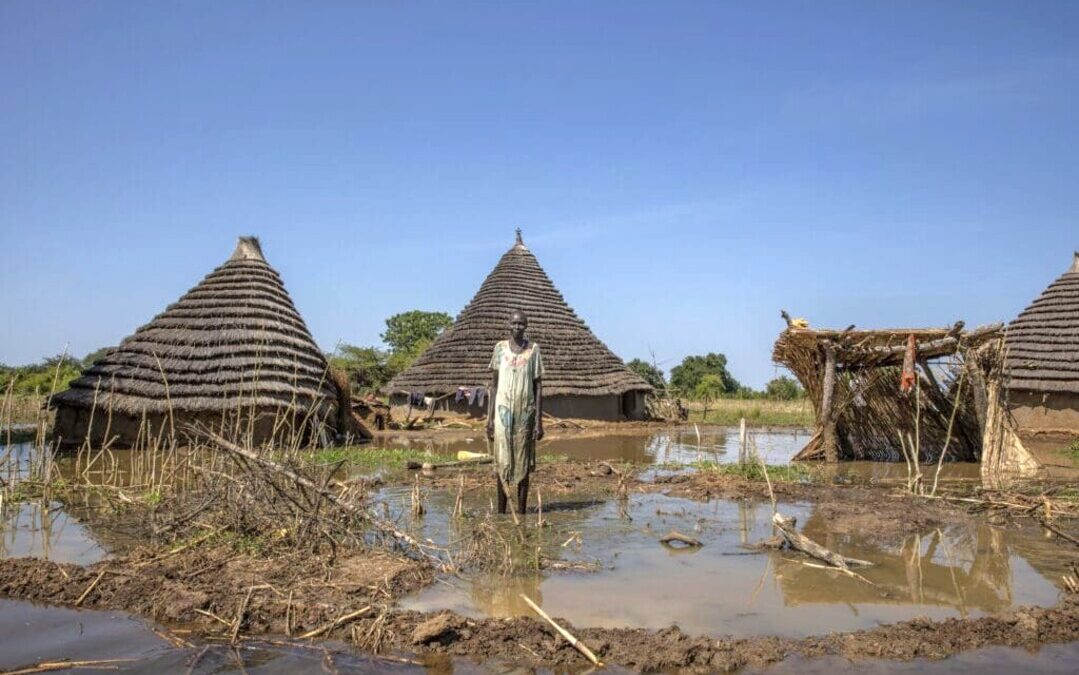 Just 5% of Climate Finance Goes to Adaptation, Less Than 1% Reaches Locals