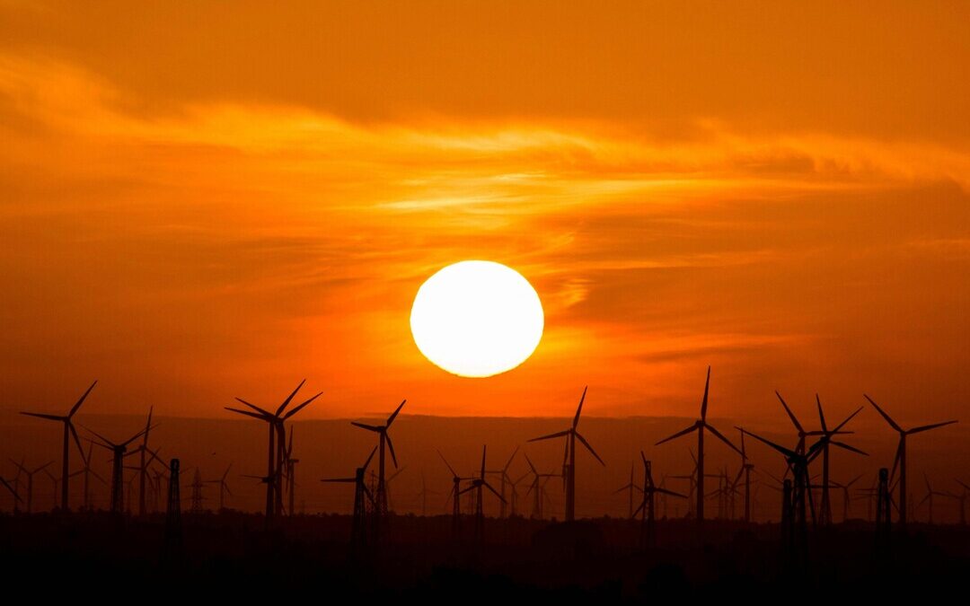 Over 90% of Green Energy Projects Cheaper Than Fossil Fuels in 2024: IRENA