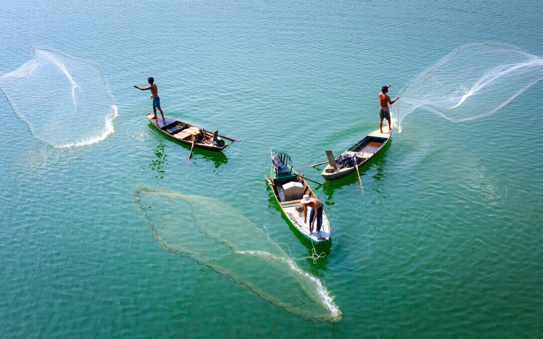Researchers Call for Social Sciences to Lead Shift in Global Blue Economy
