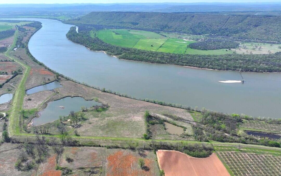 J.P. Morgan Funds Chestnut Carbon in Landmark $210M Carbon Removal Deal