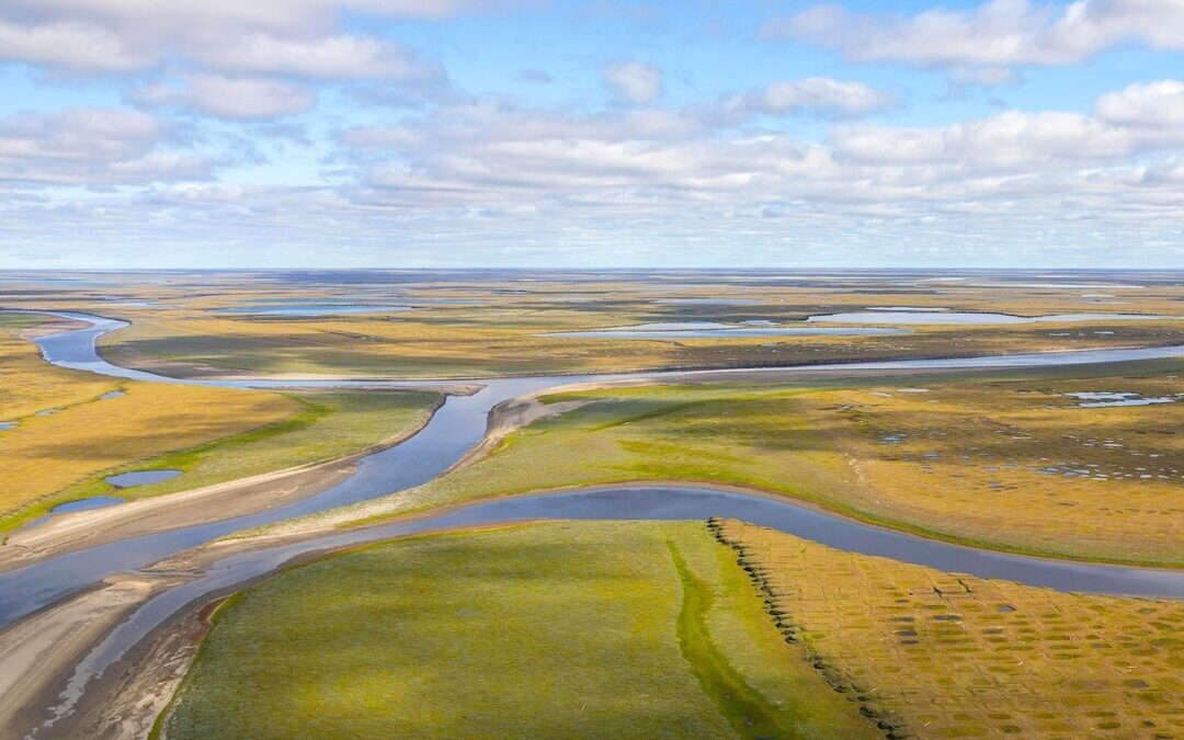 Climate Change is Reducing Vital Nitrogen in Arctic Rivers, Study Finds