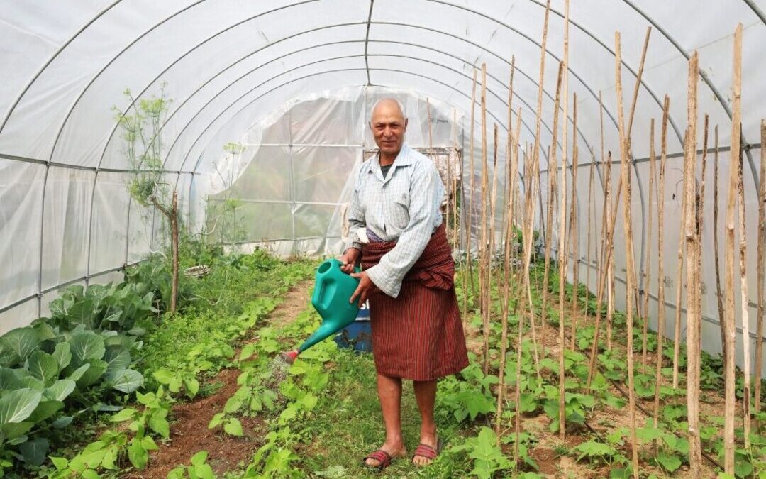 Nature-Based Solutions Gain Ground in Global Climate Adaptation Plans: UNDP