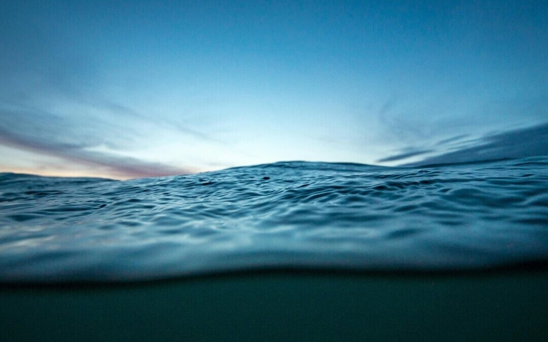 Frontier Climate Signs $31M Deal With Planetary for Ocean Carbon Removal