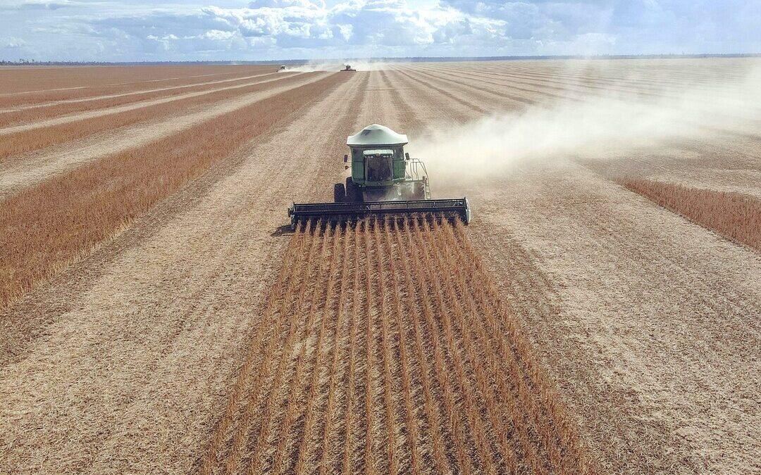 EU, China Face Water Scarcity Risks From Brazil Beef and Soy Imports: Study