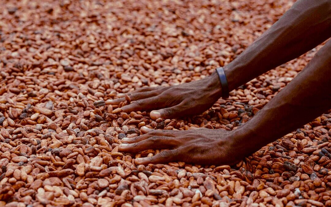 NEC, ClimateAi Build AI Model to Support Climate-Smart Farming in Africa