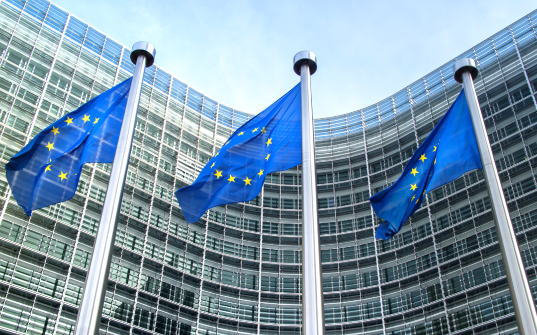 EU Parliament Adopts Binding Rules to Slash Food and Textile Waste