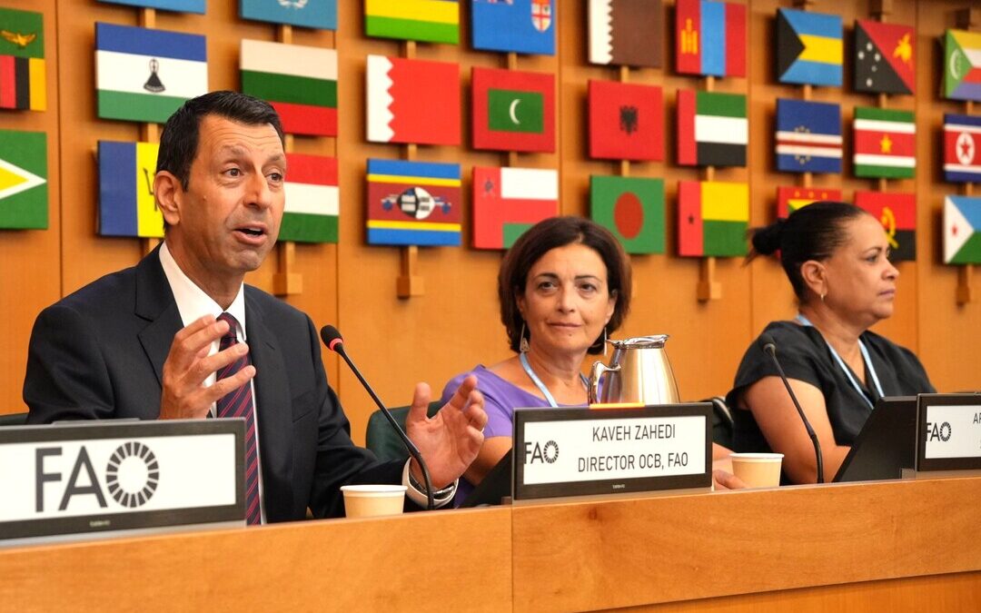 FAO Climate Finance Agriculture Push Tops Agenda at UN Forum in Rome