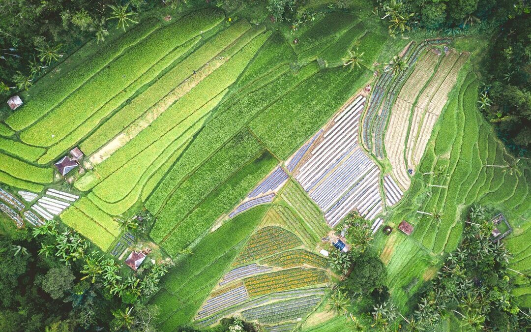 PepsiCo, Unilever Join Forces in New Push for Regenerative Agriculture