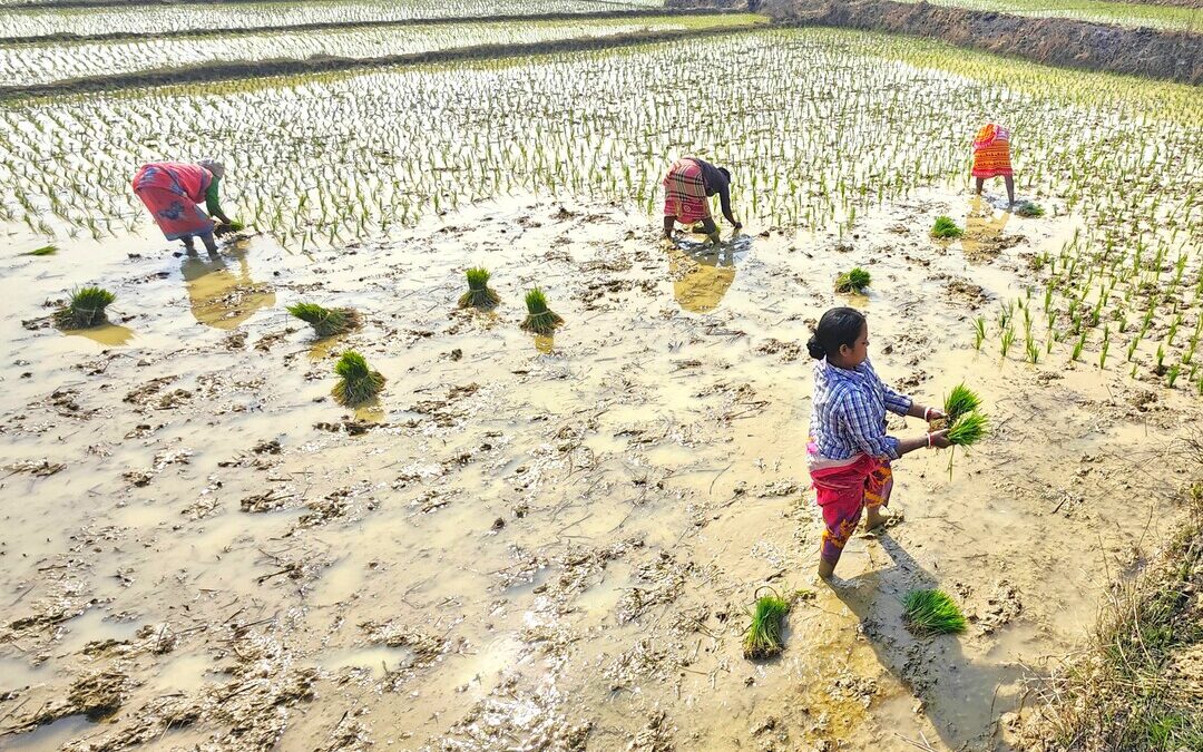 India Moves to Strengthen Farm Disaster Preparedness as Climate Risks Rise