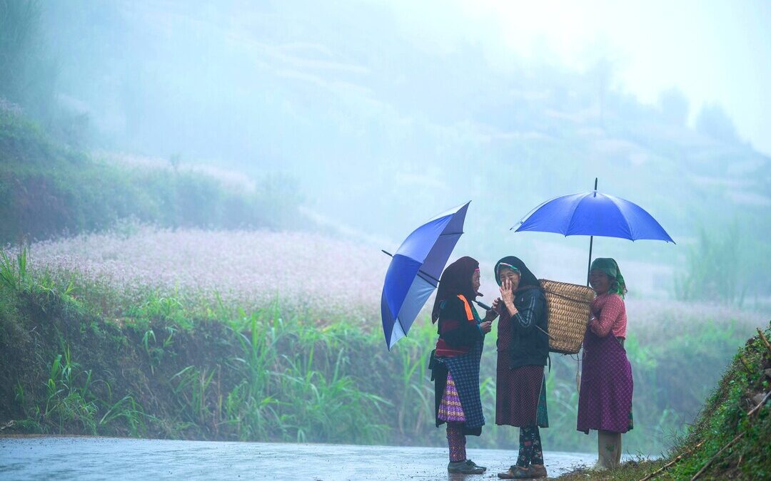 New Research Shows North America Strengthens India’s Summer Monsoon