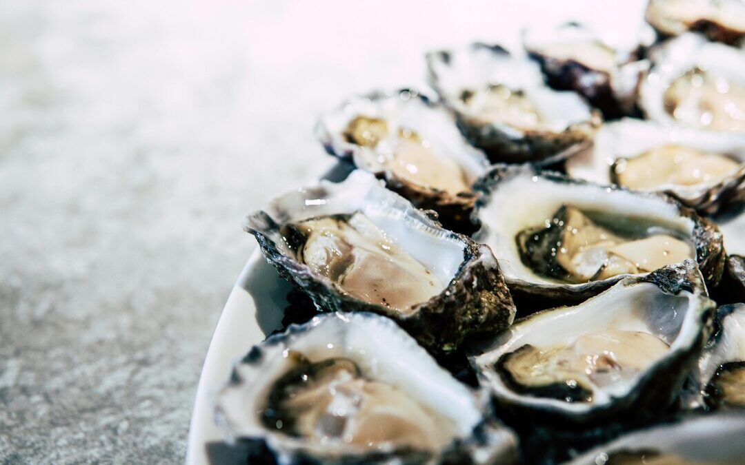 Oyster Farms Emerge as Key Players in Cutting Carbon Dioxide Emissions