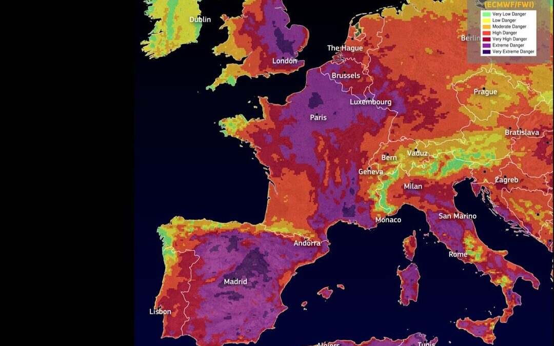 Climate Change Responsible for Over 31K Deaths Each Year, Study Says
