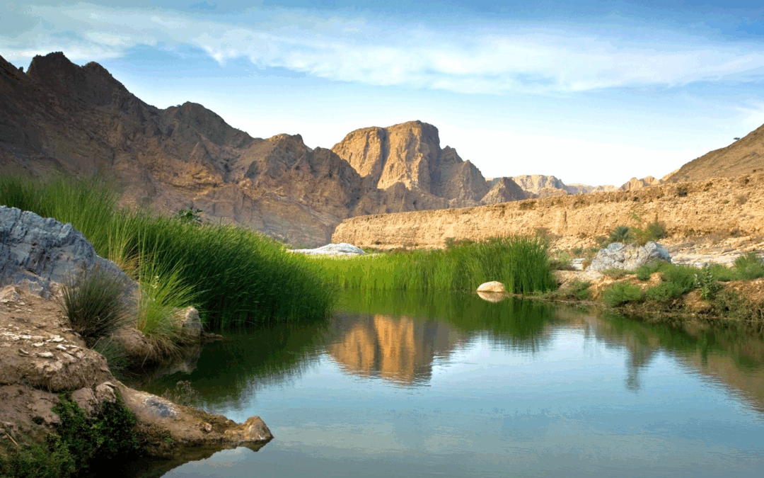 Oman Advances Green Finance Strategy to Meet 2050 Net Zero Target