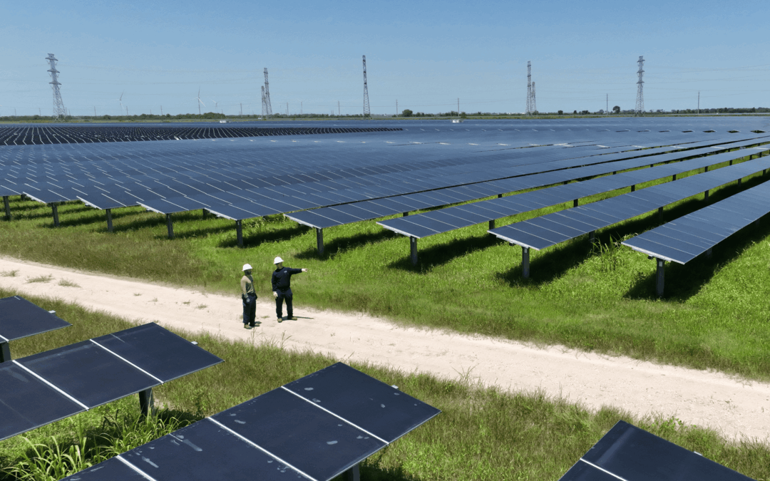 Mars Launches Climate School to Build Climate-Competent Workforce