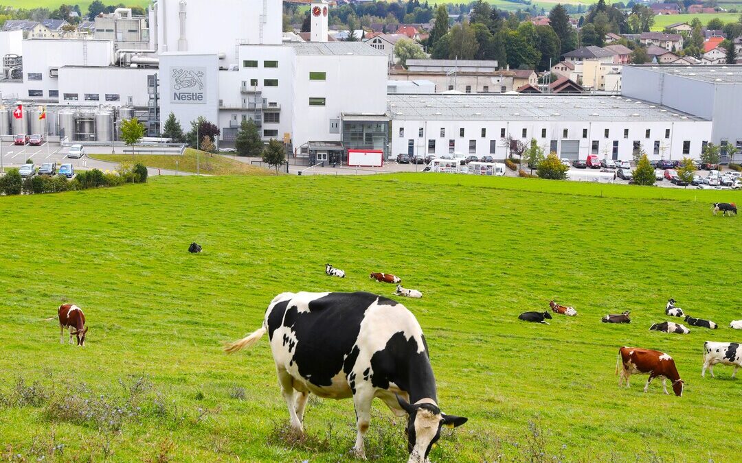 Nestle Exits From Global Dairy Methane Pact Amid Climate Action Concerns