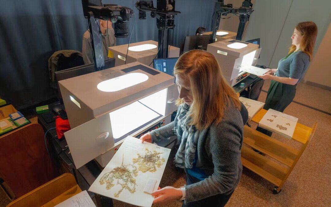 Bezos Earth Fund Awards $30M to Advance AI for Climate and Nature