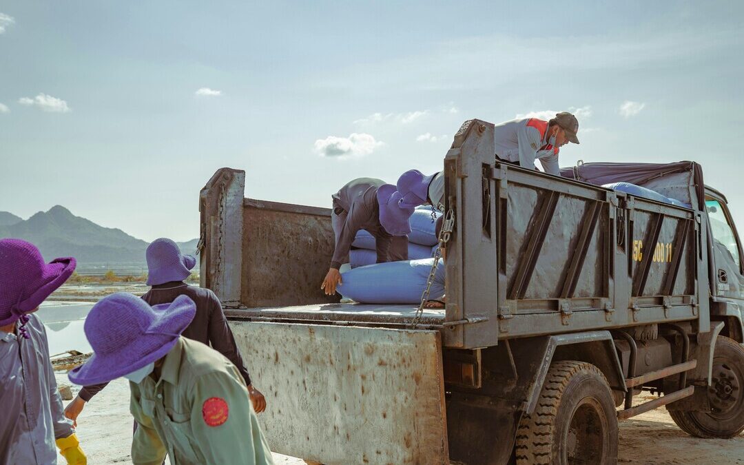 EcoVadis Unveils Grievance Tool to Boost Worker Rights in Supply Chains