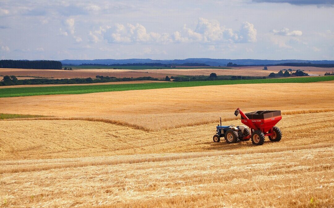 Brazil Launches Global Drive to Restore Degraded Farmland at COP30