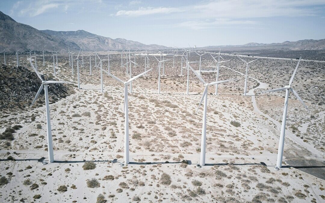 Global Firms With Climate Targets See Gains in Value and Resilience: SBTi