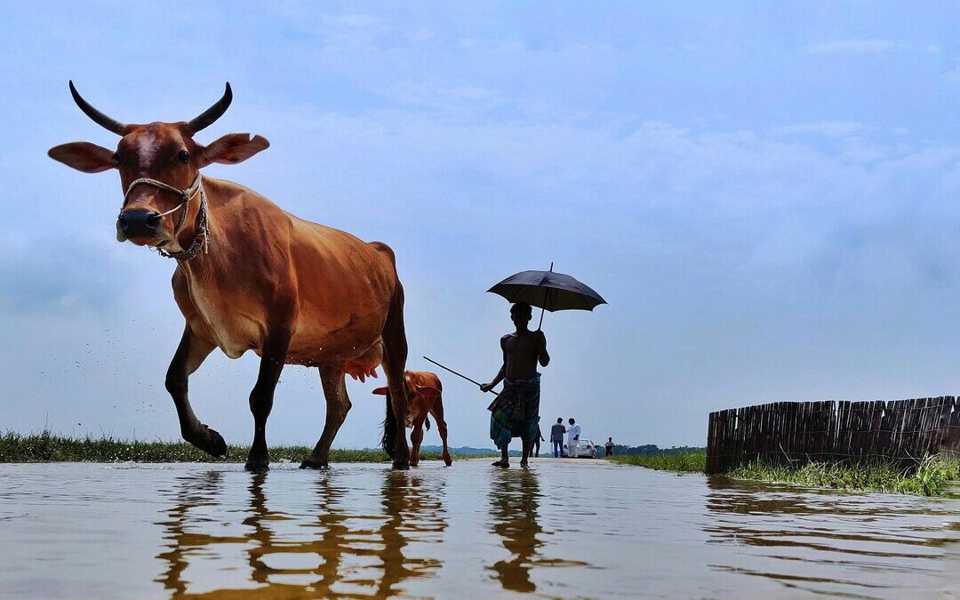 Climate Justice Review Warns of 88-Gigaton Emissions Gap by Wealthy Nations